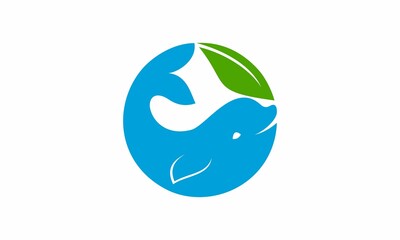 fish leaf logo vector