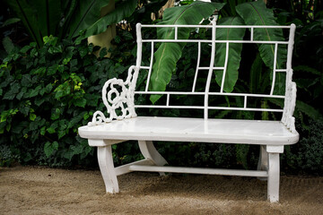 White bench near green plants in greenhouse interior.