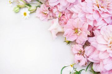 Fototapeta na wymiar Spring pink blossom/springtime larkspur bloom, delphinium and dahlia flowers background, pastel and soft floral card, toned