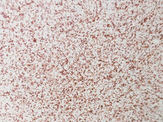 red carpet texture