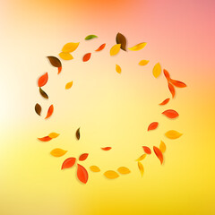 Falling autumn leaves. Red, yellow, green, brown c