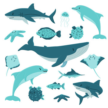 Set of vector cartoon ocean sea happy animals. Whale, dolphin, shark, stingray, jellyfish, fish, stars. Isolated animals on white background, flat style. Can be used for children book