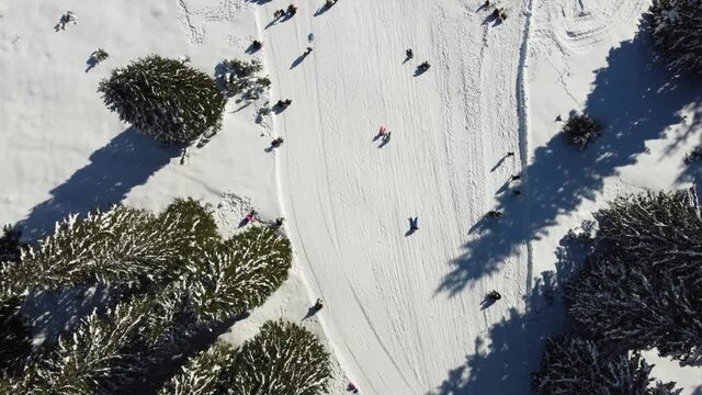Group of tourists walking, skiing and sledding slope in winter. A lot of people having fun on mountain.  Aerial drone view of children on the snow. Winter holidays.