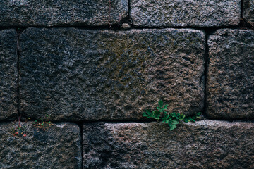 stone wall texture
