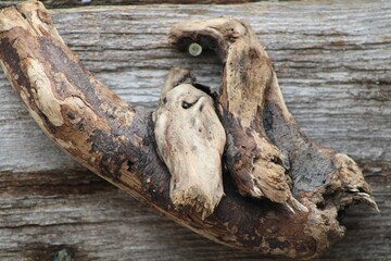 Fototapeta na wymiar Drift Wood Hanging On The Side Of A House