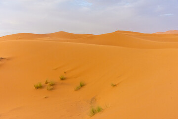 Fototapeta na wymiar Beautiful landscape of the dunes of the Sahara Desert at dusk, Merzouga, morocco