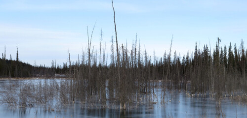 Frozen pond first sign of the coming winter