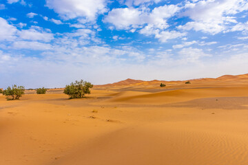 Beautiful landscape of the Sahara Desert, erg Chebbi, Merzouga, morocco