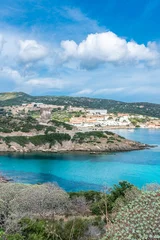 Photo sur Plexiglas Plage de La Pelosa, Sardaigne, Italie Belle eau turquoise d& 39 une baie de l& 39 île d& 39 Asinara, Sardaigne