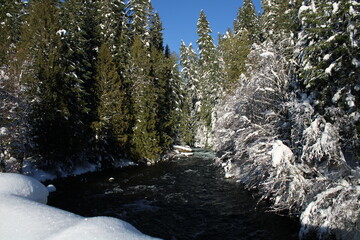 Winter Scene