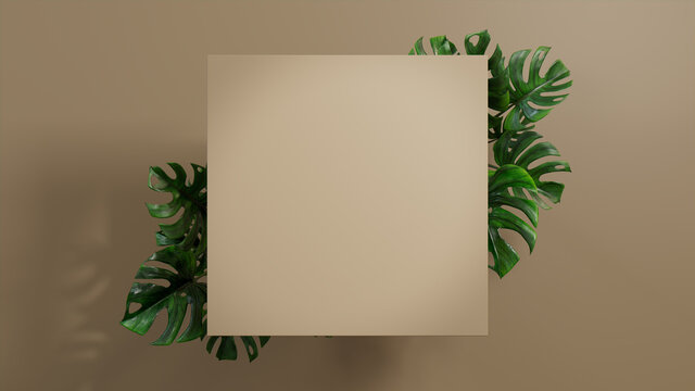 Square Botanical Frame with Monstera Plant Border. Beige, Natural Design for Product Display.