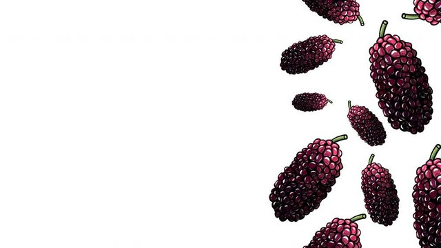 Animated hand drawn fresh mulberries frame template design.