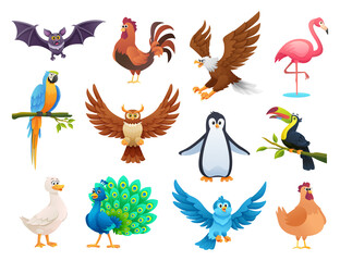 Set of different birds in cartoon style