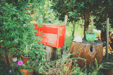 レトロな赤ポストと植物