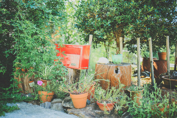 レトロな赤ポストと植物