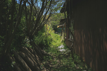 空き家の裏側にある神秘的な通り