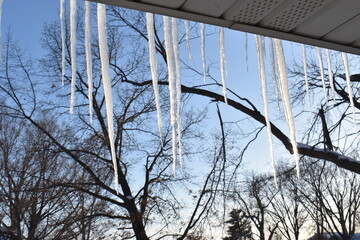 Ice storm