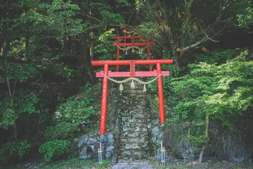 Poster 赤い鳥居と趣ある階段のある神社 © ASDKTY