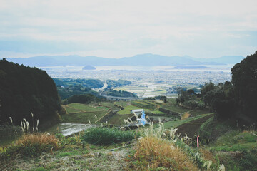 山頂からの景色