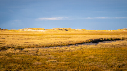 Fototapeta premium Amazing landscape at the Wadden Sea in St Peter Ording Germany - travel photography
