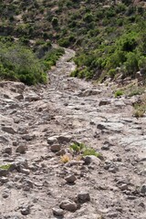 Devil's Canyon Arizona 
