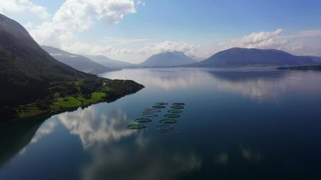 Aerial view away from aquaculture cages, in reflecting fjords of Norway - pullback, drone shot