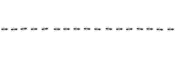 Ants army marching in trail searching food. Ant path isolated in white background. Vector illustration