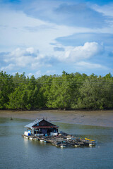 Fish cage in the middle of the sea