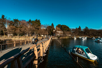 Naklejka premium 池/湖