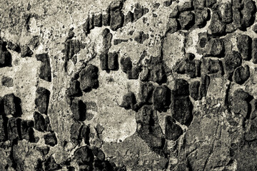 Close up of wooden grain