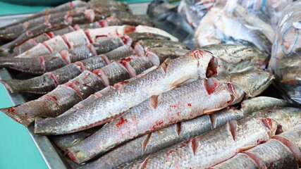 Fresh snakehead fish on trays in the market. Close up, selected focus