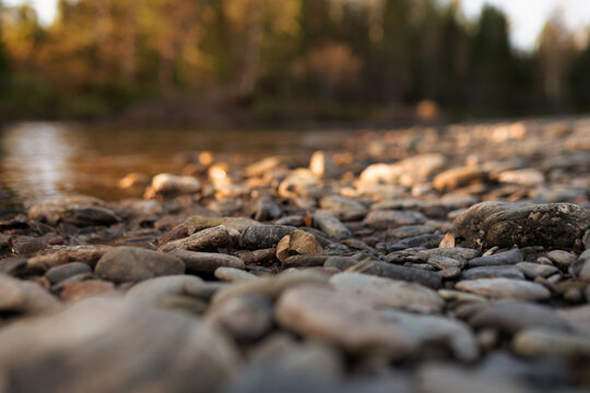 empty rocky riverbank close up. selective focus