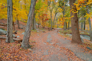 Beautiful Autumn View in Bear Mountain State Park