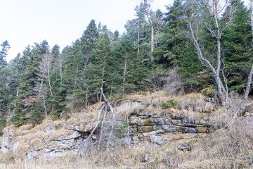 autumn morning, walking along the bed of a mountain river that has become shallow by the beginning...