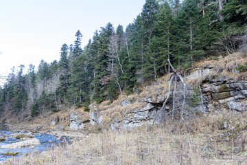 autumn morning, walking along the bed of a mountain river that has become shallow by the beginning of the winter period and exposing its rocky bottom.