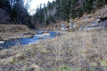 autumn morning, walking along the bed of a mountain river that has become shallow by the beginning...