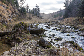 autumn morning, walking along the bed of a mountain river that has become shallow by the beginning of the winter period and exposing its rocky bottom.