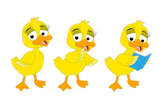 cute duck animal cartoon illustration