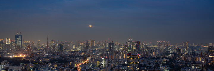 Obraz premium Ultra wide panorama image of Tokyo night view with Tokyo tower and office buildings.