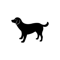 Cute dog illustration vector drawing