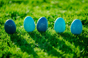 Hunting easter eggs. Easter eggs on green grass background. Spring kids holidays concept. Happy Easter greeting card.