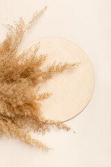 flat-lay of pampas-grass reeds and wooden circle on beige background. Natural mock-up. Eco-friendly concept. Empty place for presentation natural products with Copy space