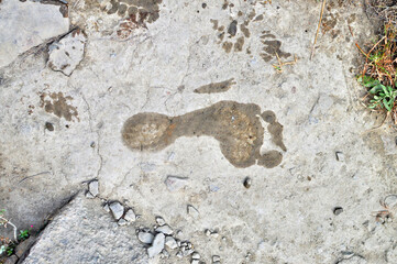 Wet foot print on stone texture