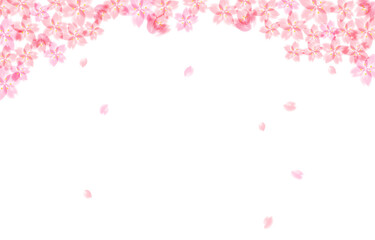 桜の背景イラスト