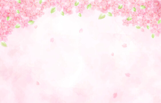 1 751 Best 葉桜 Images Stock Photos Vectors Adobe Stock