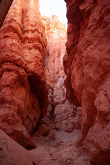 red canyon in the desert