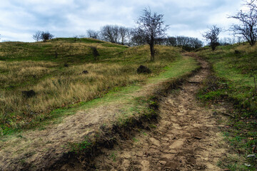 Landscape in the Amsterdamse waterleidingduinen, the Netherlands.