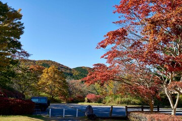 植樹祭記念緑地公園　駐車場