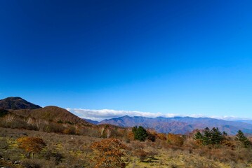 八方ヶ原　栃木県