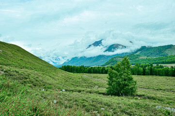 Obraz premium Beautiful panoramic view of Hemu village and birch forest mountain beside the village in burjin County, Xinjiang, China
